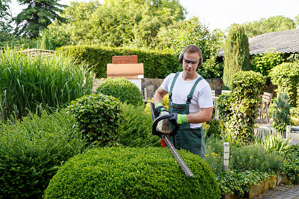 Best Hazardous Tree Removal  in USA